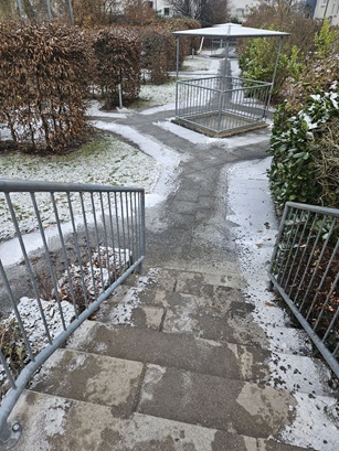 Pflege der Außenanlagen