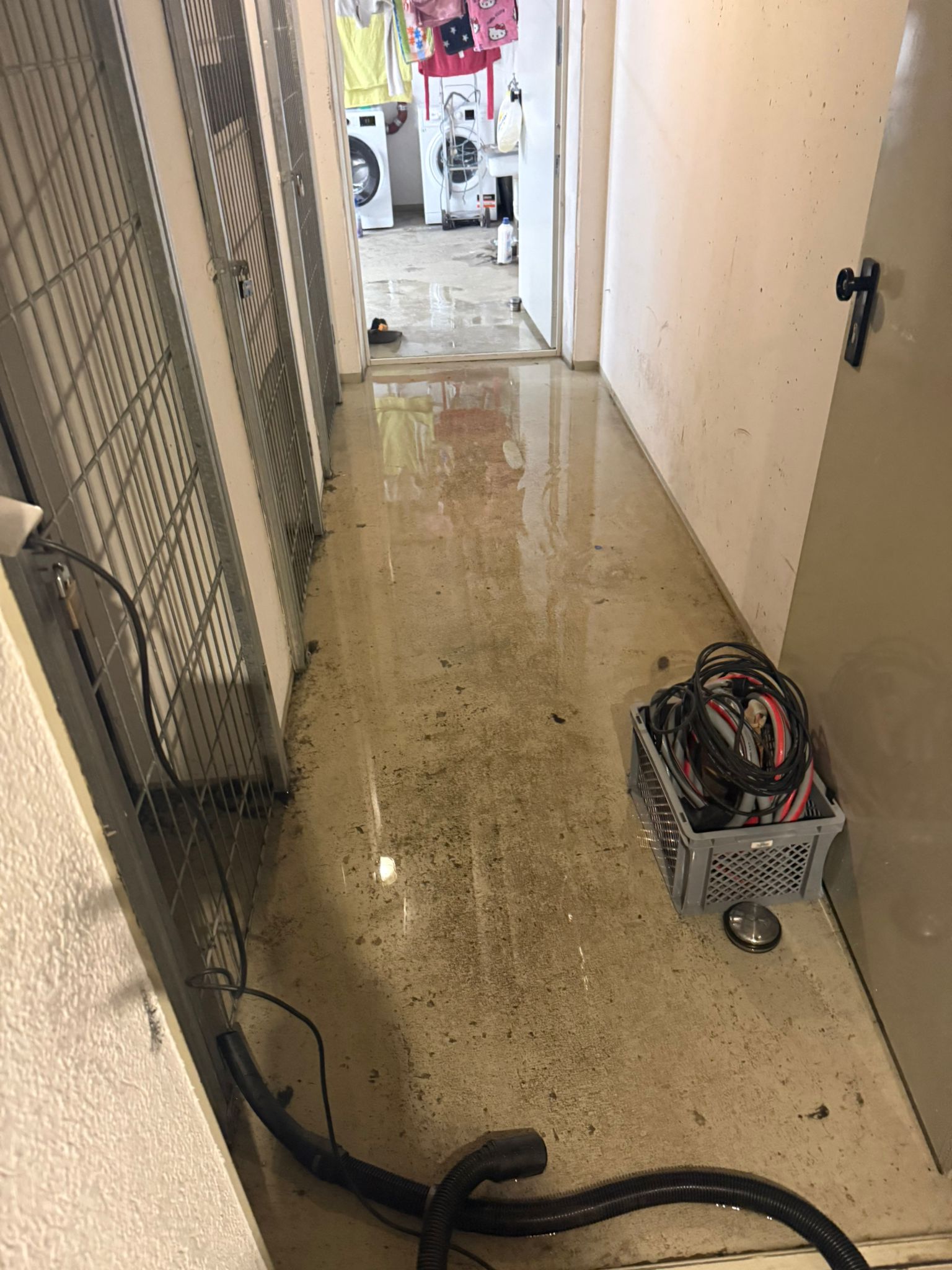 Wasserschaden Beseitigung 3