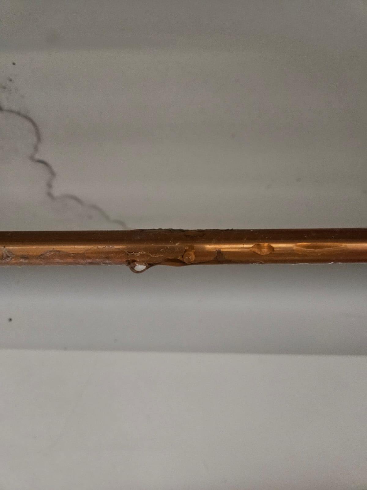 Wasserschaden Projektbild 11