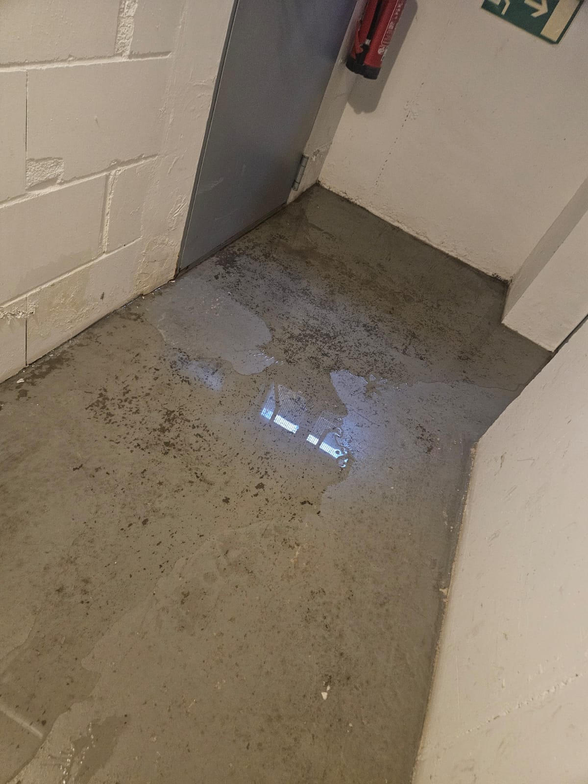 Bautrocknung nach Wasserschaden - Einsatzbild 2